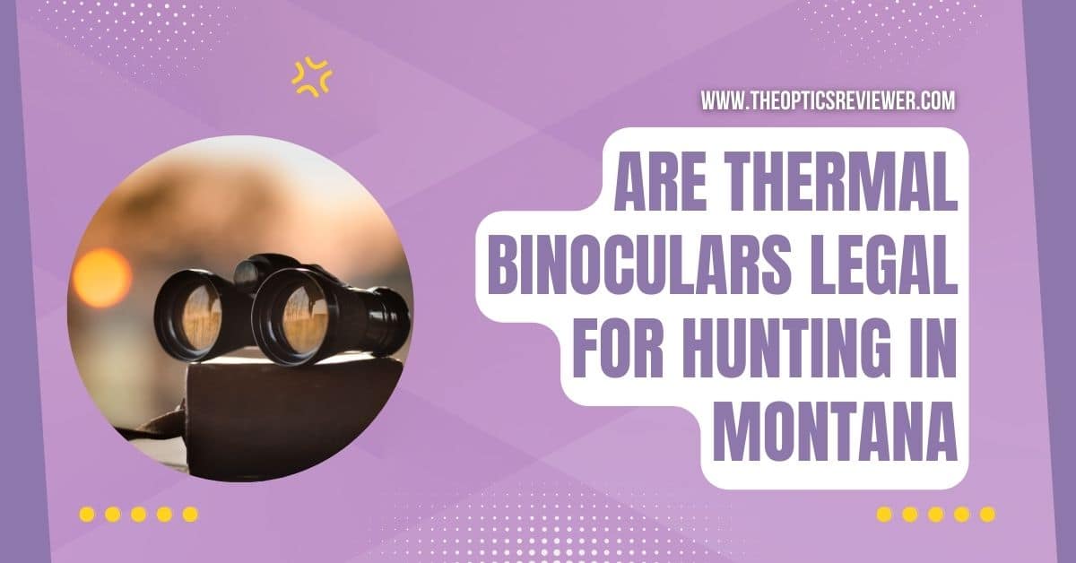 Are Thermal Binoculars Legal for Hunting Guide 2024 TOR