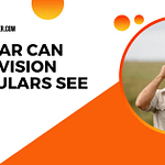 How Far Can Night Vision Binoculars See