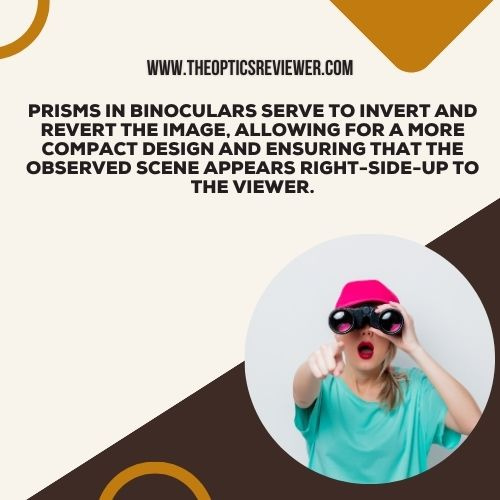 What Is the Function of Prisms in Binoculars