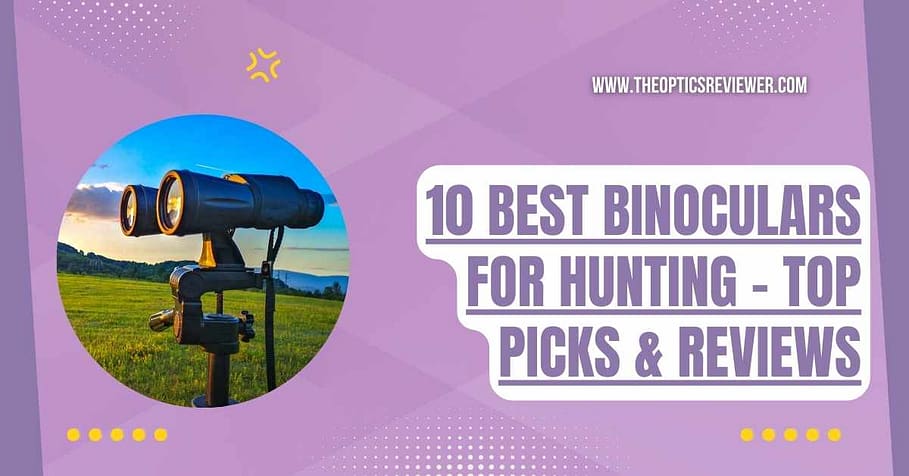 10 Best Binoculars for Hunting